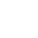 securityIcon
